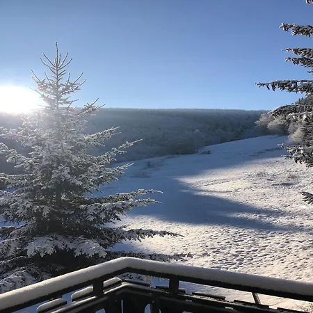 Exclusive Group House In In The Forest Winterberg