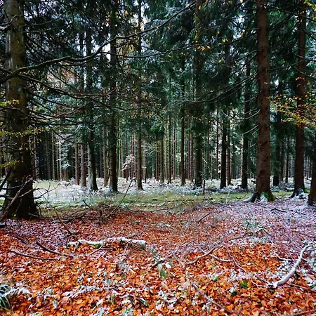 Feriehus Exclusive Group House In In The Forest
