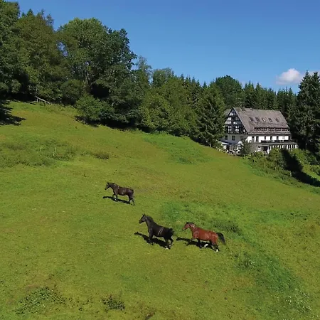 Feriehus Exclusive Group House In In The Forest Winterberg