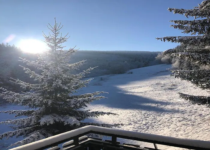 Exclusive Group House In In The Forest Winterberg