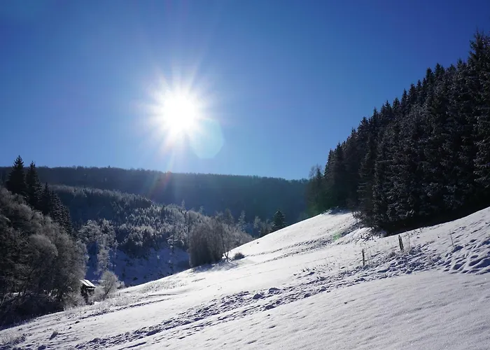 Exclusive Group House In In The Forest *