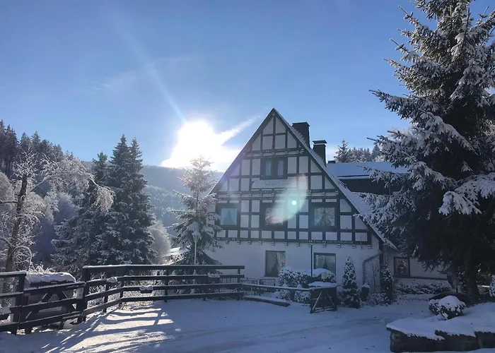 Exclusive Group House In In The Forest Winterberg