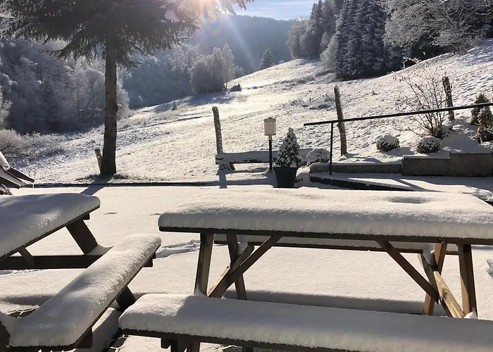 Tatil Evi Exclusive Group House In In The Forest