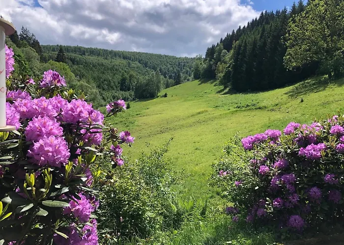 Exclusive Group House In In The Forest *