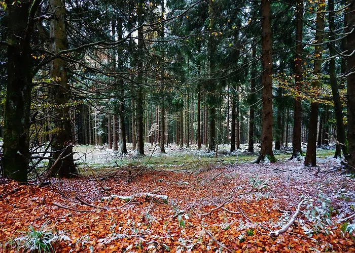 Feriehus Exclusive Group House In In The Forest