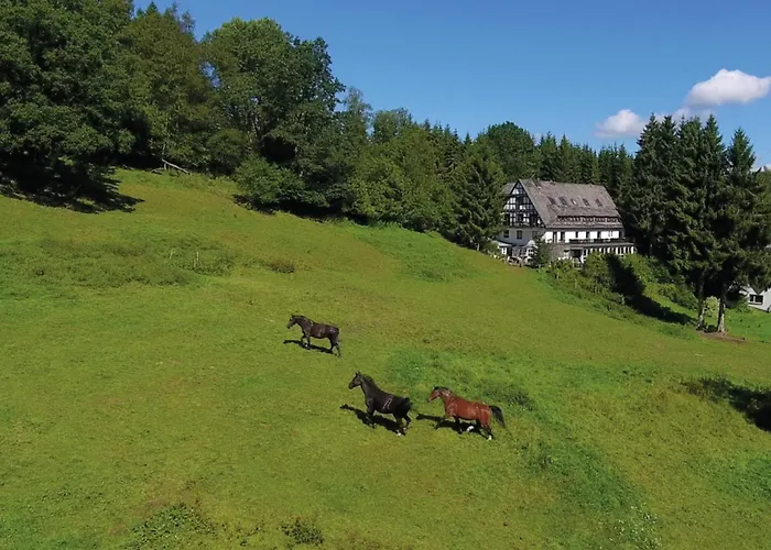 Hébergement de vacances Exclusive Group House In In The Forest Winterberg